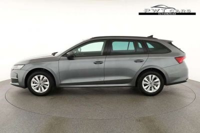 Skoda Octavia Tageszulassung Skoda Octavia Tageszulassung