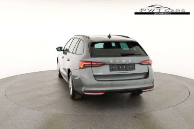 Skoda Octavia Tageszulassung Skoda Octavia Tageszulassung