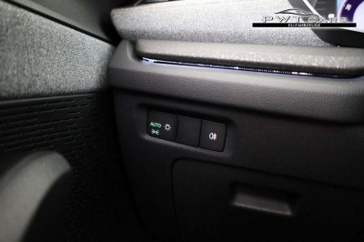 Skoda Octavia Tageszulassung Skoda Octavia Tageszulassung