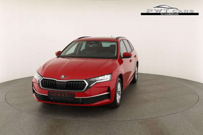 Skoda Octavia Tageszulassung Skoda Octavia Tageszulassung