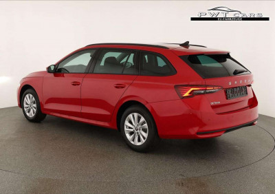 Skoda Octavia Tageszulassung Skoda Octavia Tageszulassung