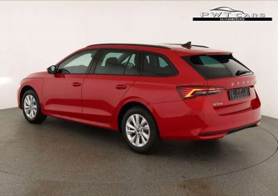 Skoda Octavia Tageszulassung Skoda Octavia Tageszulassung
