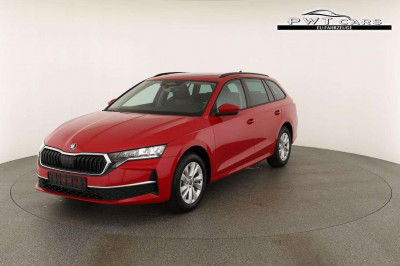 Skoda Octavia Tageszulassung Skoda Octavia Tageszulassung