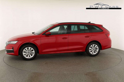 Skoda Octavia Tageszulassung Skoda Octavia Tageszulassung