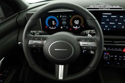 Hyundai Tucson Tageszulassung