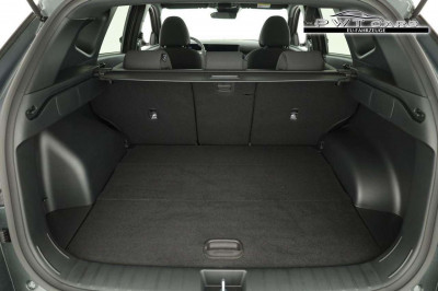 Hyundai Tucson Tageszulassung