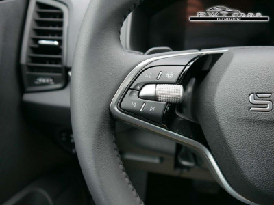 Skoda Karoq Tageszulassung