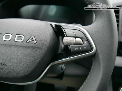 Skoda Karoq Tageszulassung