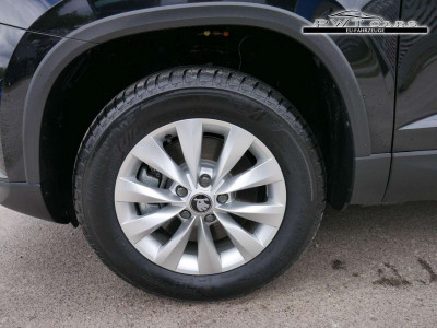 Skoda Karoq Tageszulassung