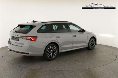 Skoda Octavia Tageszulassung Skoda Octavia Tageszulassung