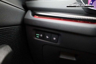 Skoda Octavia Tageszulassung Skoda Octavia Tageszulassung