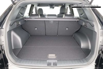 Hyundai Tucson Tageszulassung
