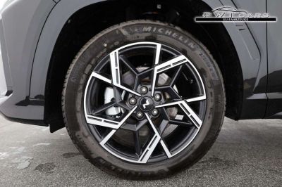 Hyundai Tucson Tageszulassung