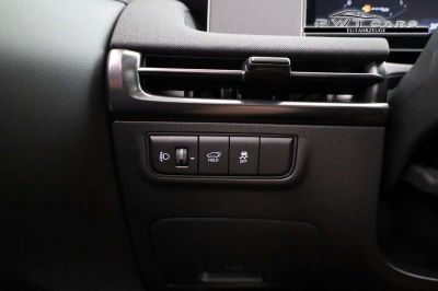 Hyundai Tucson Tageszulassung
