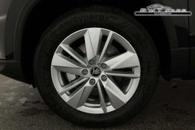 Skoda Karoq Tageszulassung
