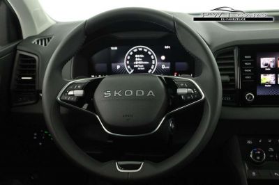 Skoda Karoq Tageszulassung