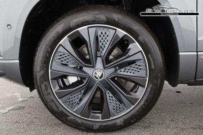 Skoda Karoq Tageszulassung