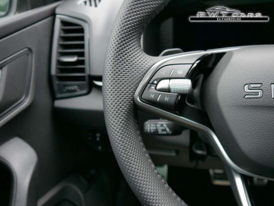 Skoda Karoq Tageszulassung Skoda Karoq Tageszulassung