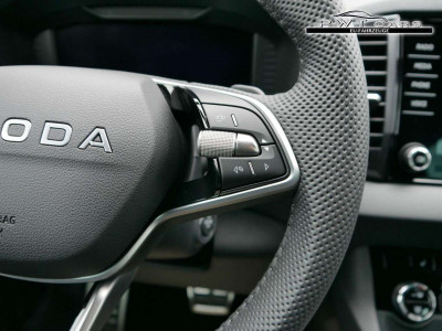 Skoda Karoq Tageszulassung Skoda Karoq Tageszulassung