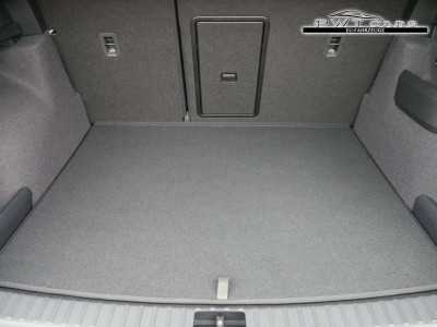 Skoda Karoq Tageszulassung Skoda Karoq Tageszulassung