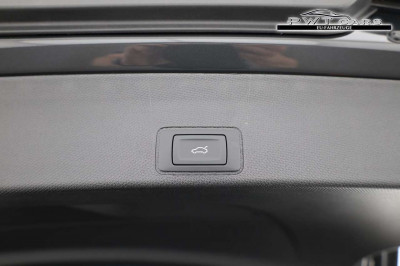 Cupra Terramar Tageszulassung