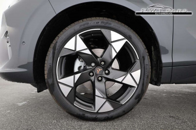 Cupra Terramar Tageszulassung