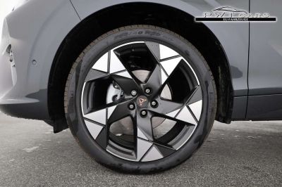 Cupra Terramar Tageszulassung Cupra Terramar Tageszulassung