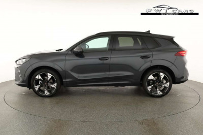 Cupra Terramar Tageszulassung