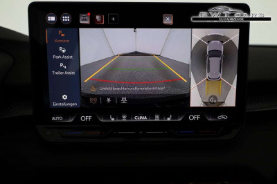 Cupra Terramar Tageszulassung