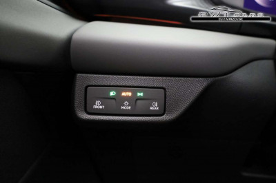 Cupra Terramar Tageszulassung