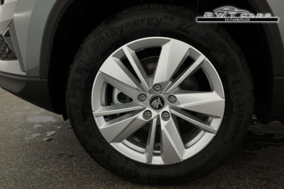 Skoda Karoq Tageszulassung Skoda Karoq Tageszulassung