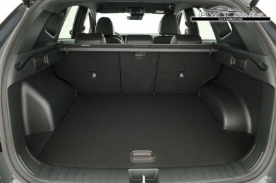 Hyundai Tucson Tageszulassung
