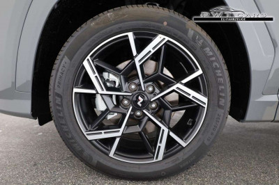 Hyundai Tucson Tageszulassung
