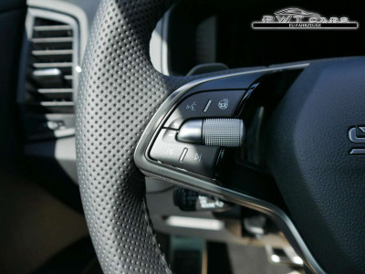 Skoda Karoq Tageszulassung Skoda Karoq Tageszulassung