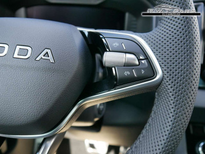 Skoda Karoq Tageszulassung Skoda Karoq Tageszulassung