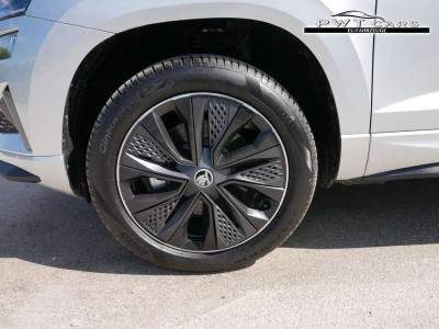 Skoda Karoq Tageszulassung Skoda Karoq Tageszulassung