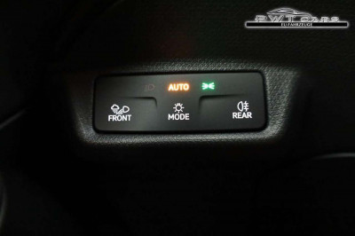 Cupra Tavascan Tageszulassung