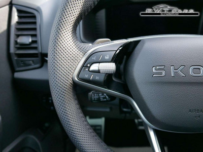 Skoda Karoq Tageszulassung