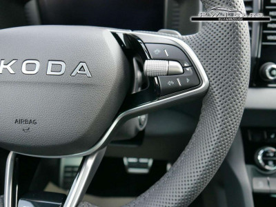 Skoda Karoq Tageszulassung