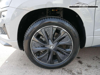 Skoda Karoq Tageszulassung