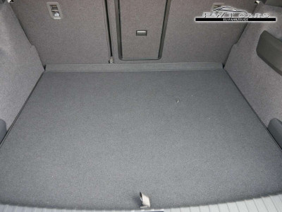 Skoda Karoq Tageszulassung