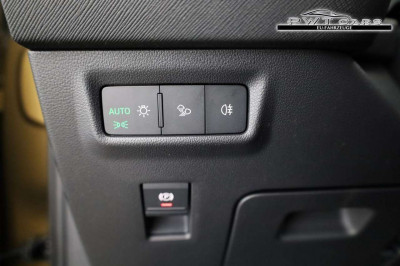 Skoda Kodiaq Tageszulassung Skoda Kodiaq Tageszulassung
