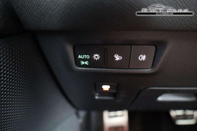 Skoda Kodiaq Tageszulassung