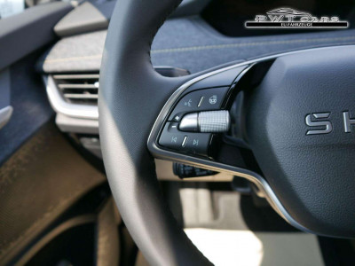 Skoda Elroq Tageszulassung Skoda Elroq Tageszulassung