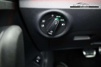 Skoda Kamiq Tageszulassung Skoda Kamiq Tageszulassung