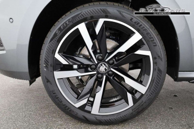 Skoda Kamiq Tageszulassung