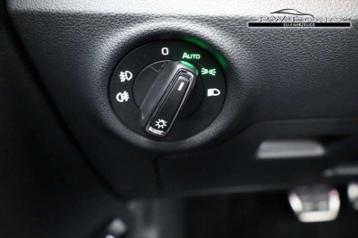 Skoda Kamiq Tageszulassung