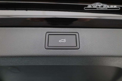 Skoda Kamiq Tageszulassung