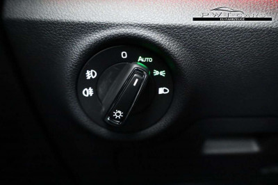 Skoda Kamiq Tageszulassung