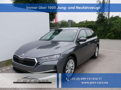 Skoda Octavia Tageszulassung Skoda Octavia Tageszulassung